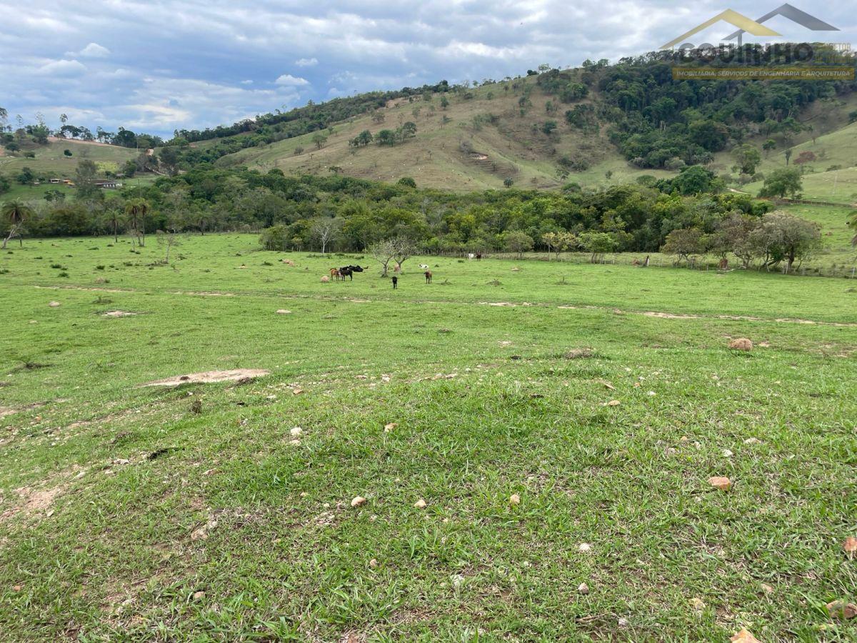 WhatsApp Image 2026-03-14 at 08.47.52.jpeg